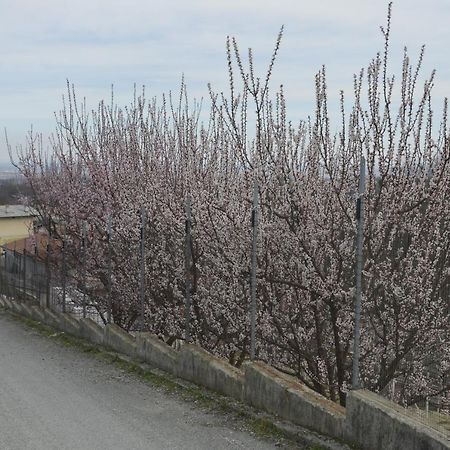 Agriturismo Ai Pruesot Bed & Breakfast Bagnolo Piemonte Exterior photo